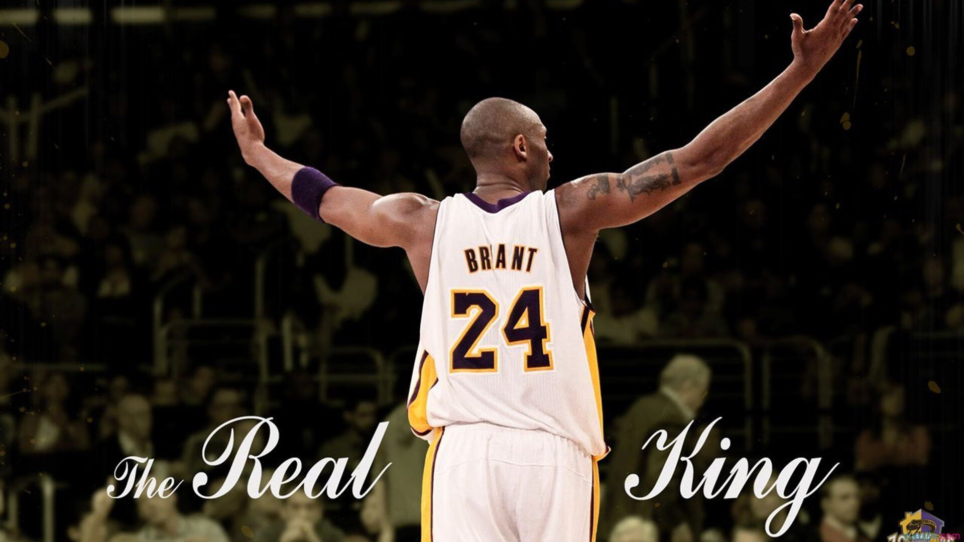 美国马术协会与国际组织合作，推广“Mustang Challenge”至全球。