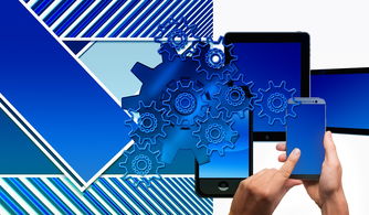 九游官网-中国篮球联赛品牌建设及粉丝经济研究，国内篮球职业联赛