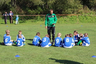 九游游戏-国足对不同战术体系适应能力评估，国足体能与技术分析