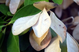 九游体育app-法甲防守阵型转换与对手控球比变化的动态关系研究，法国足球防守型中场